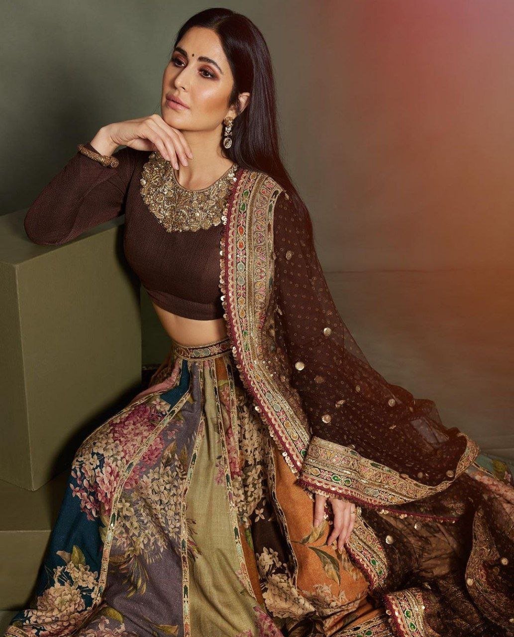 hello telugu heroine gallery katrina kaif 20231123 3