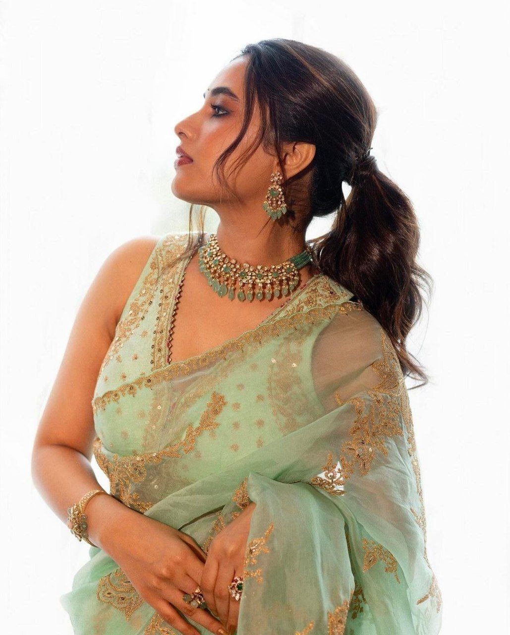 hello telugu heroine gallery priyanka mohan 20231203 2