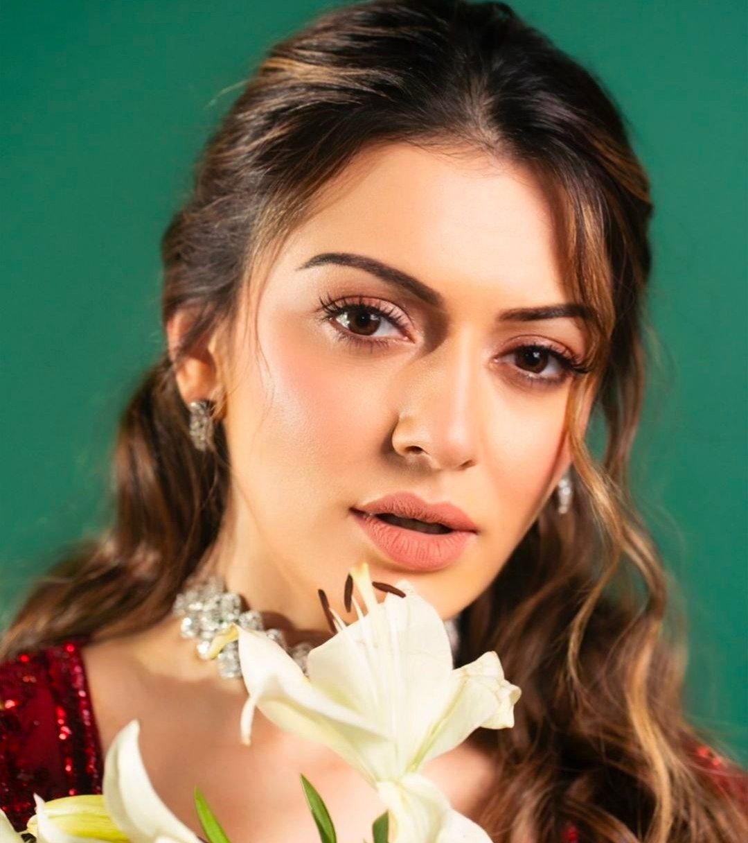 Amyra Dastur Vs Hansika Motwani 3 hello telugu heroine gallery hansika motwani 20240711 2