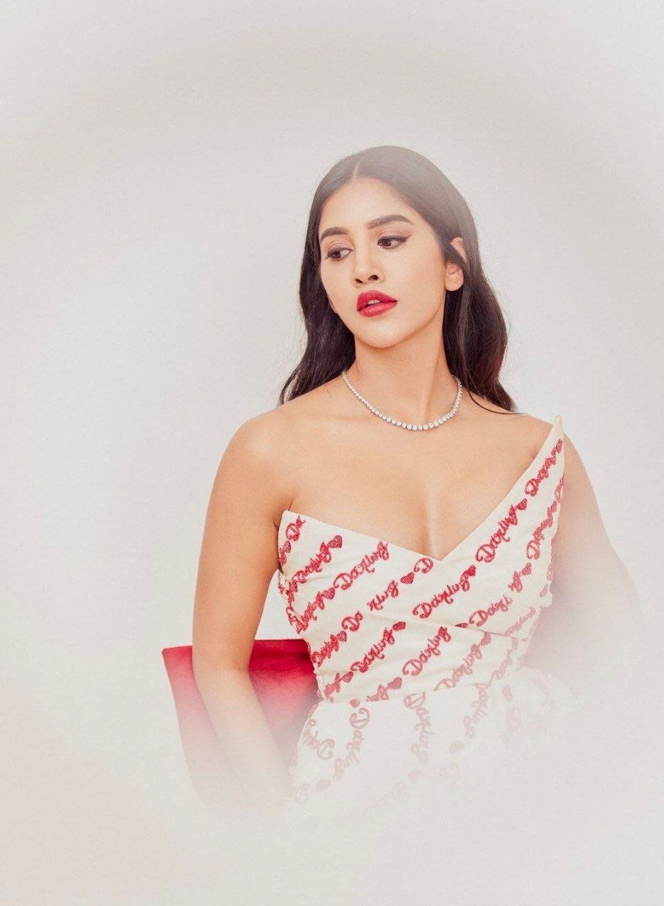 hello telugu heroine gallery nabha natesh 20240815 2