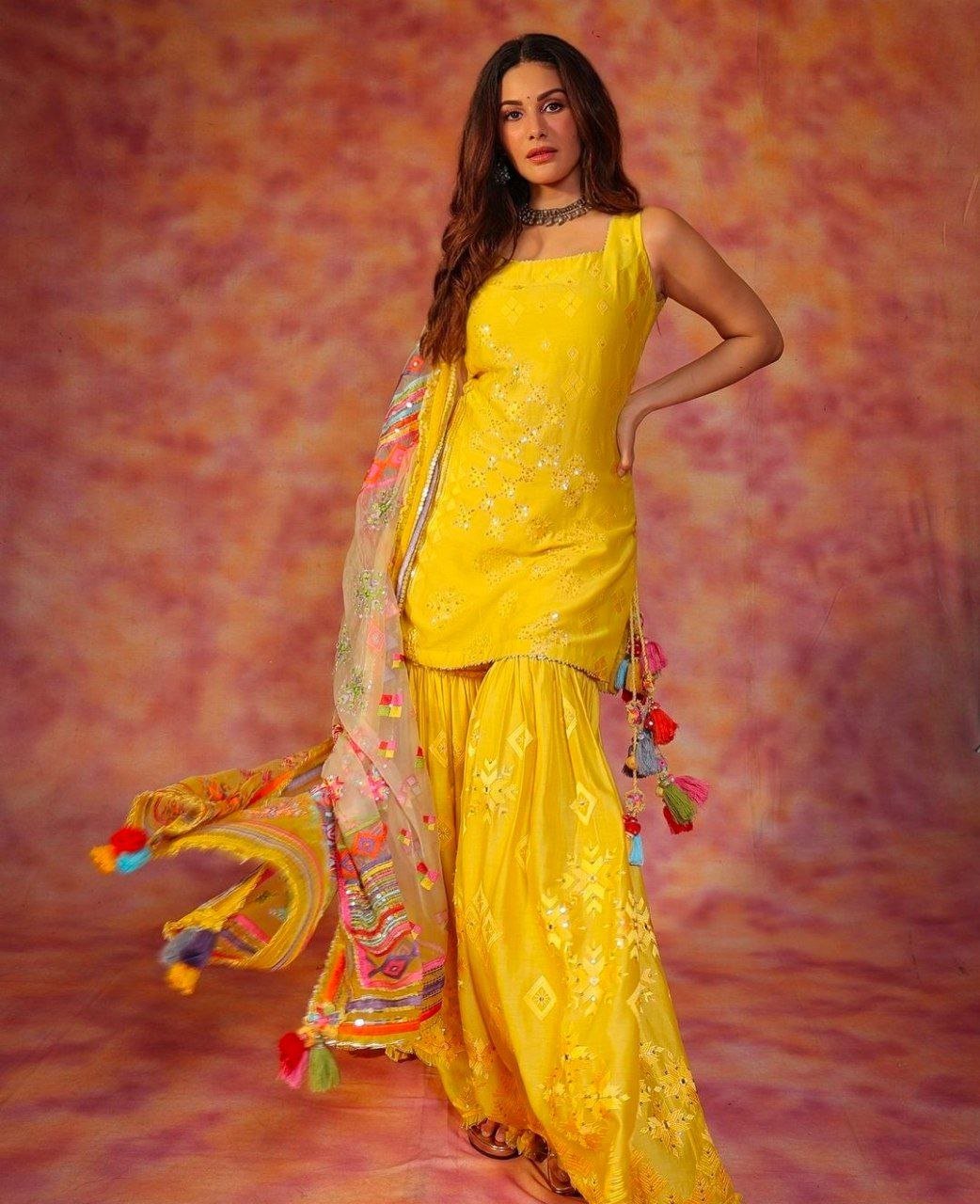 hello telugu heroine gallery amyra dastur 20240829 3