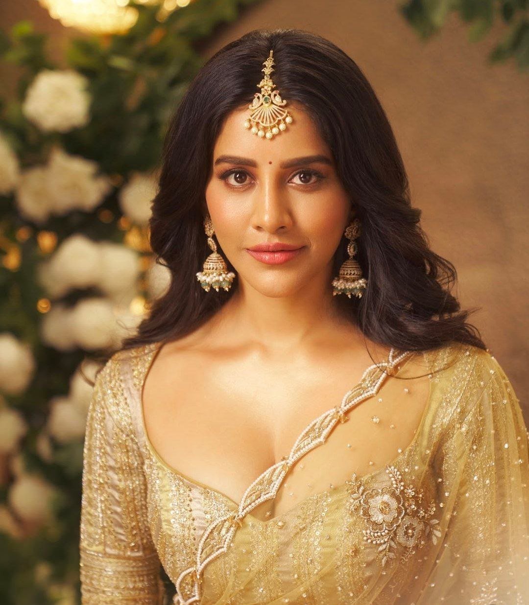 Malavika Mohanan Vs Nabha Natesh 3 hello telugu heroine gallery nabha natesh 20241016 2