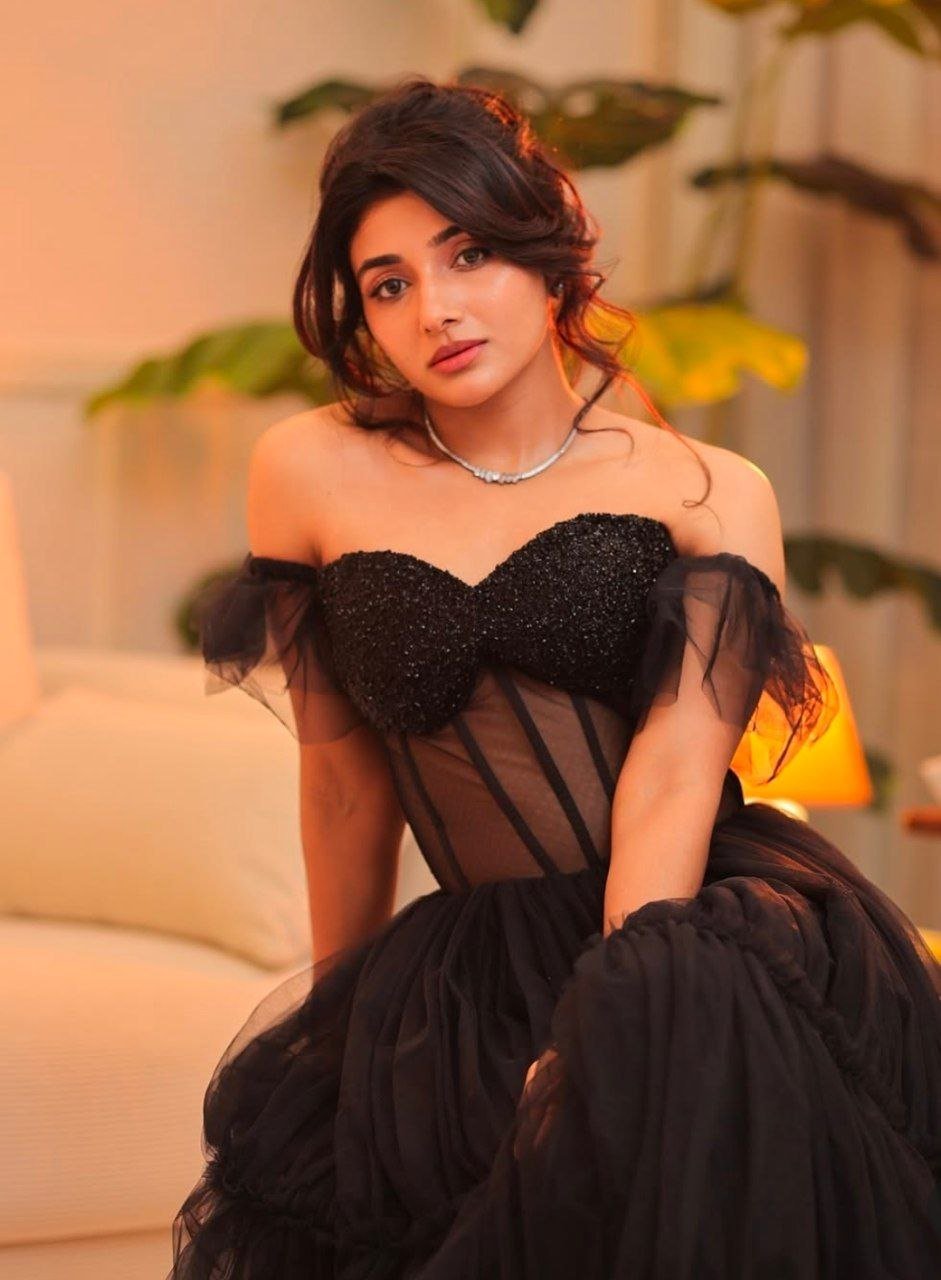 Bhagyashri Borse Vs Mirna Menon 3 hello telugu heroine gallery mirna menon 20241215 2