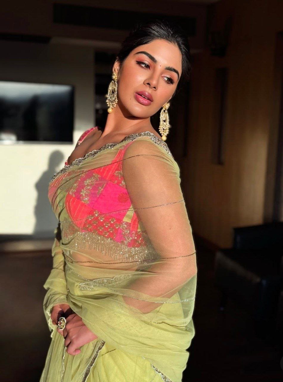 Samyuktha Menon Vs Divya Bharathi 2 hello telugu heroine gallery samyuktha menon 20250314 3