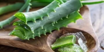 hello telugu - aloe vera interesting Benefits