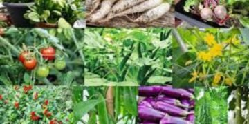 Hello Telugu - Monsoon Important Health Tips