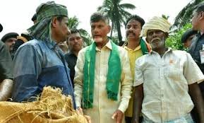 Hello Telugu - AP Govt Approve