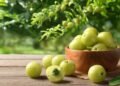 Hello Telugu - Amla Dangerous Effects