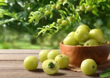 Hello Telugu - Amla Dangerous Effects