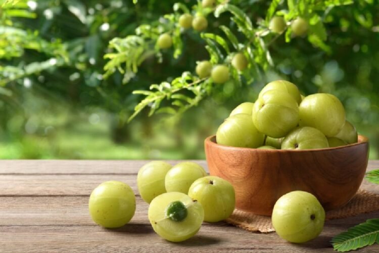 Hello Telugu - Amla Dangerous Effects