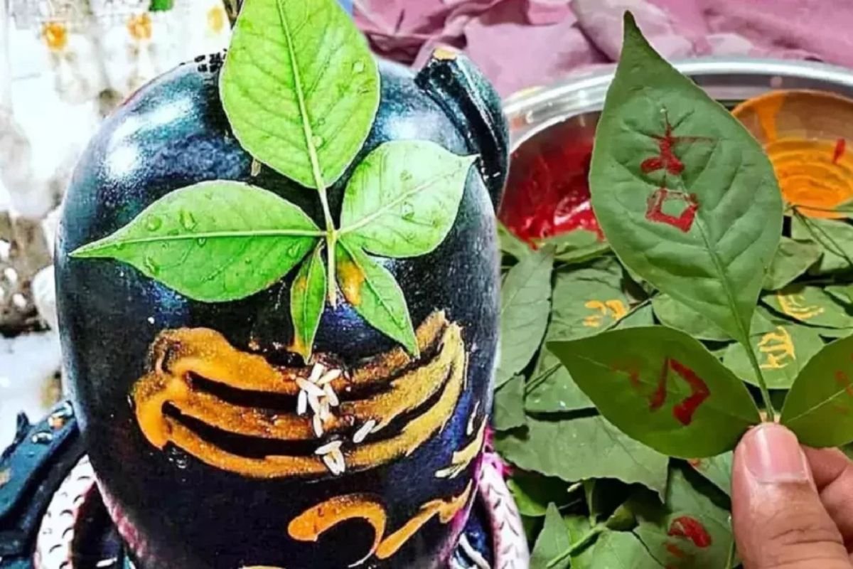 Hello Telugu - Bilva Patra Interesting Facts