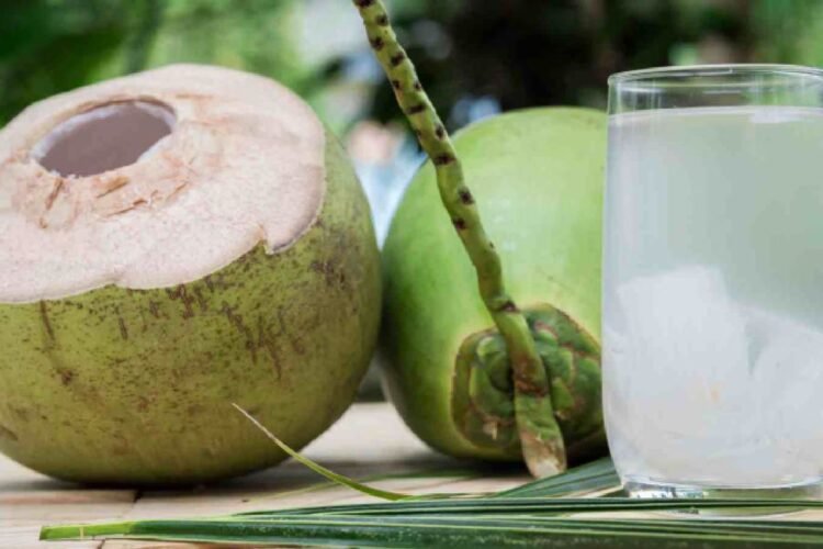 Hello Telugu - Coconut Water Shocking Facts