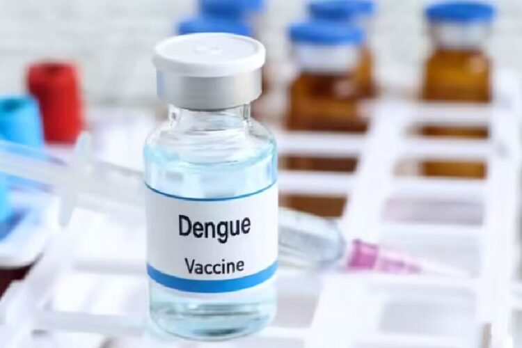 Hello Telugu - Dengue Vaccine Interesting