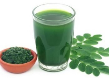 Hello Telugu - Drumstick Interesting Facts