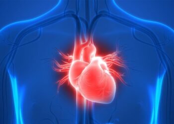 Hello Telugu - Heart Health Shocking Facts