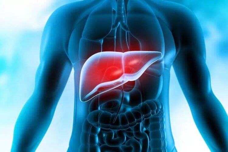 Hello Telugu - Liver Dangerous Foods