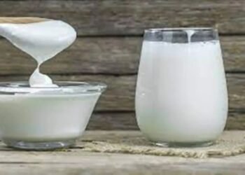 Hello Telugu - Milk and Curd Interesting Facts