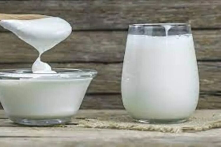 Hello Telugu - Milk and Curd Interesting Facts