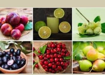 Hello Telugu - Monsoon Interesting Frutis