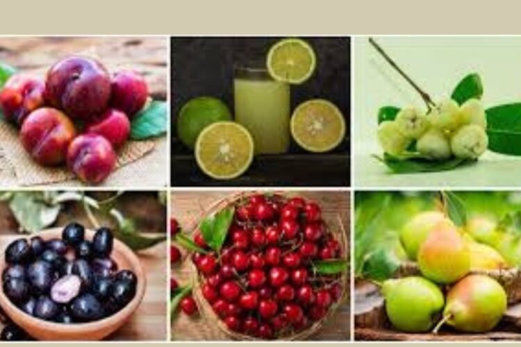 Hello Telugu - Monsoon Interesting Frutis