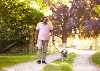 Hello Telugu - Revolutionary Walking Benefits