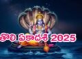 Hello Telugu - Tholi Ekadashi 2025 Interesting Facts