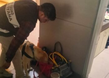 Hello Telugu - Bomb Threats - Delhi Schools