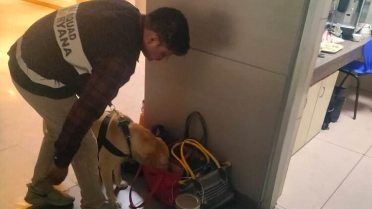 Hello Telugu - Bomb Threats - Delhi Schools