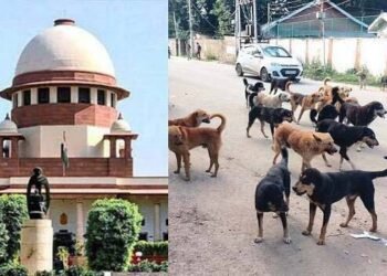 Hello Telugu - Supreme Court Sensational Oreder