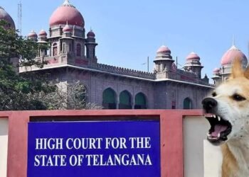 Hello Telugu - TG High Court Shocking Comments