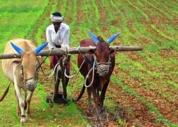 Hello Telugu - AP Govt