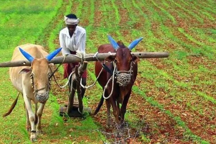 Hello Telugu - AP Govt