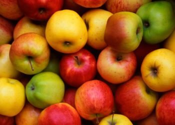 Hello Telugu - Apples Shocking Facts