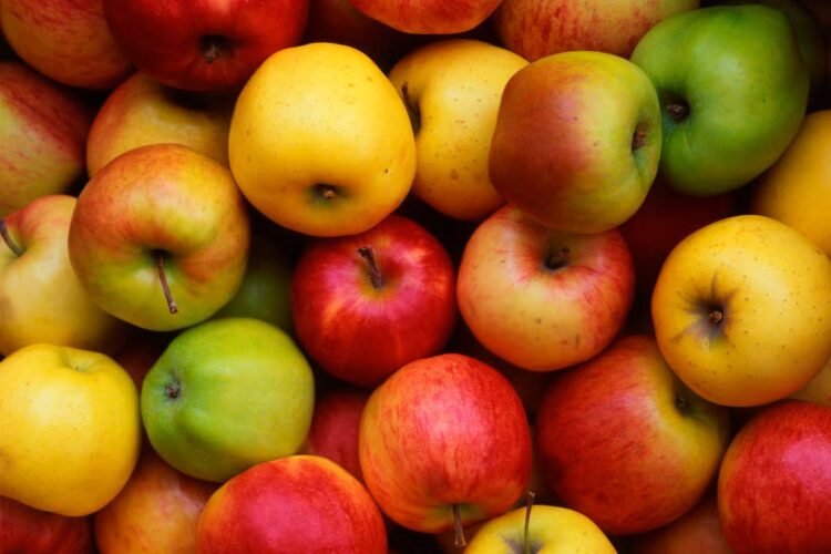 Hello Telugu - Apples Shocking Facts