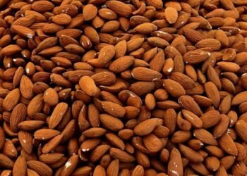 Hello Telugu - Badam Shocking Facts