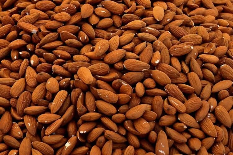 Hello Telugu - Badam Shocking Facts