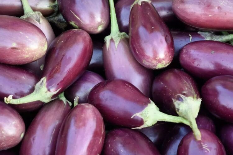 Hello Telugu - Brinjal Shocking Facts