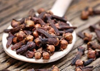 Hello Telugu - Cloves Amazing Benefits