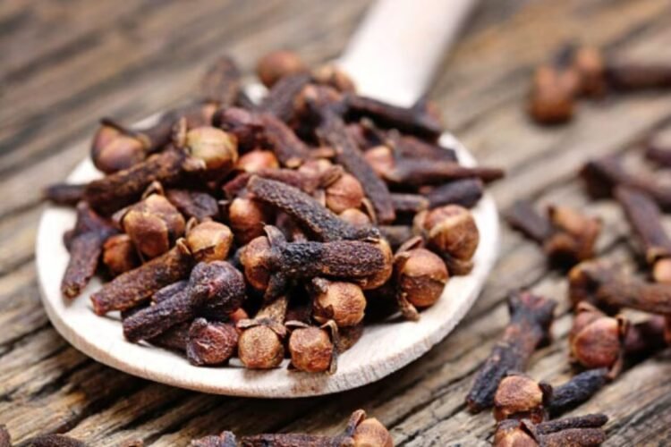 Hello Telugu - Cloves Amazing Benefits