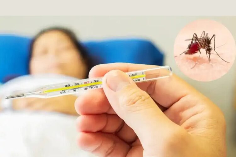 Hello Telugu - Dengue Shocking Facts