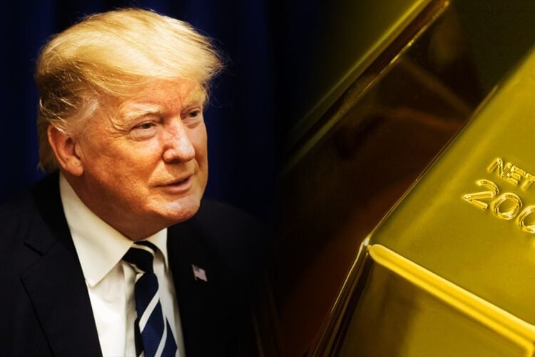 Hello Telugu - Donald Trump Shocking Comments