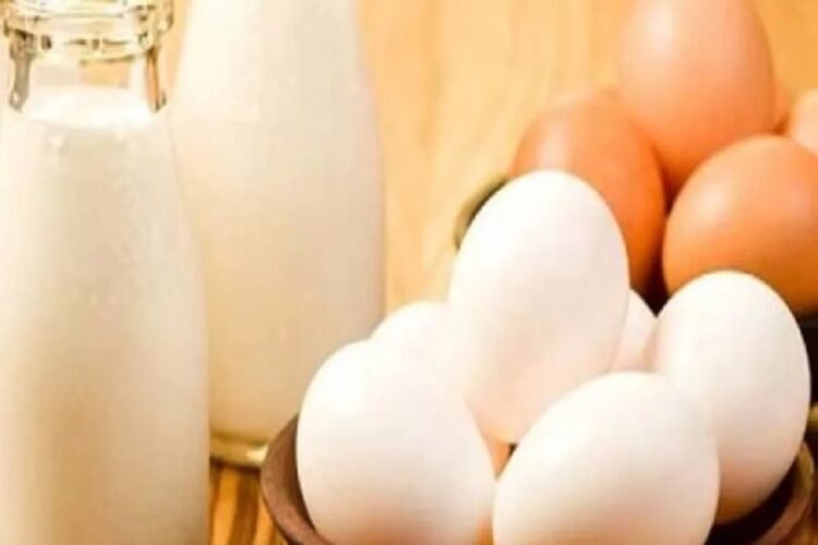 Hello Telugu - Eggs Dangerous Facts
