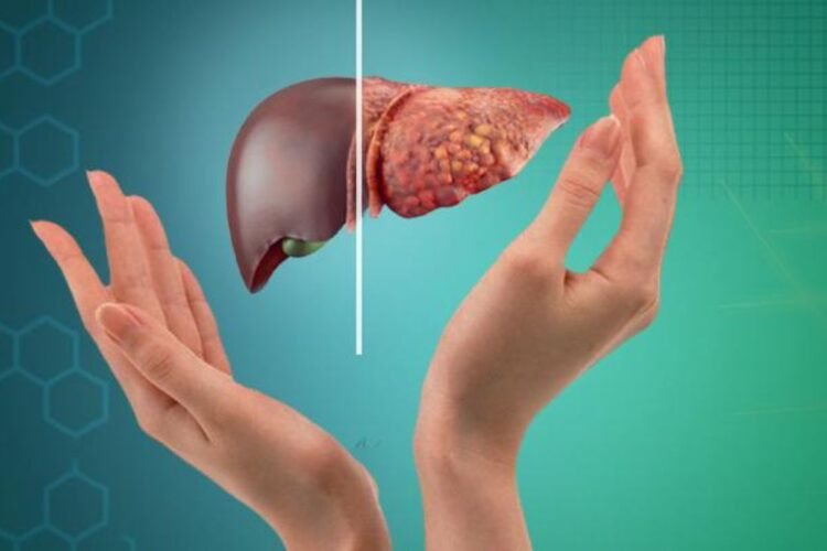Hello Telugu - Fatty Liver - Cancer Danger