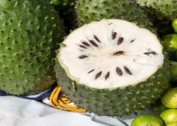 Hello Telugu - Hanuman Phal Interesting Facts