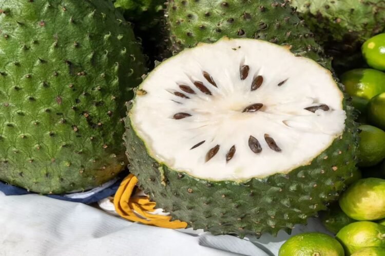 Hello Telugu - Hanuman Phal Interesting Facts