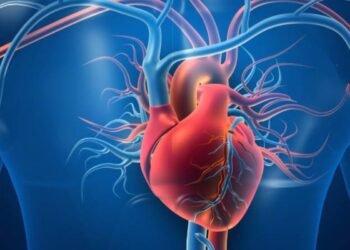 Hello Telugu - Heart Health Important Tips