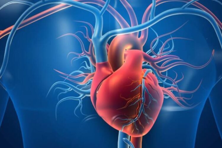 Hello Telugu - Heart Health Important Tips