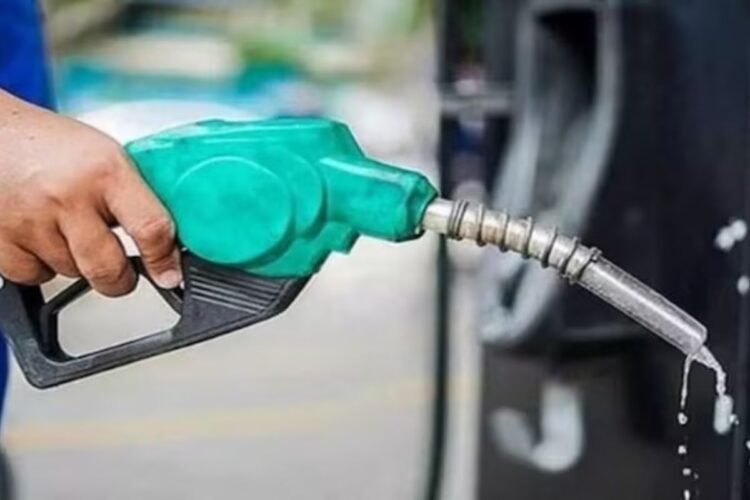 Hello Telugu - Indian Govt Strong Focus - Petrol