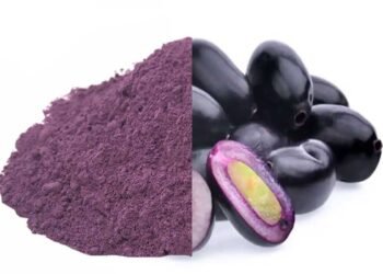 Hello Telugu - Java Plum Seeds Powder Proven