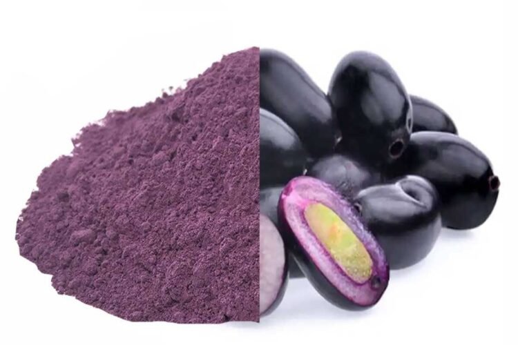 Hello Telugu - Java Plum Seeds Powder Proven